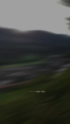 #CapCut 