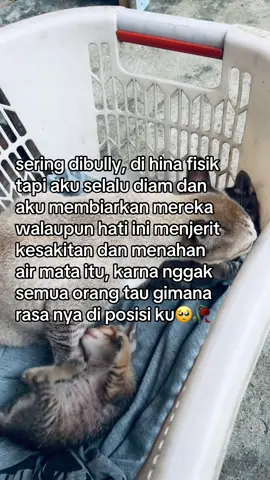 🙇🏼‍♀️