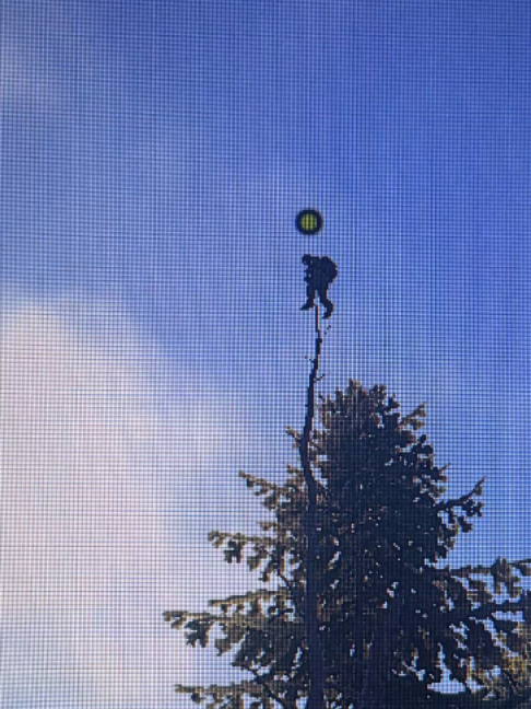 похож ? #rust #rustgame #rusttok