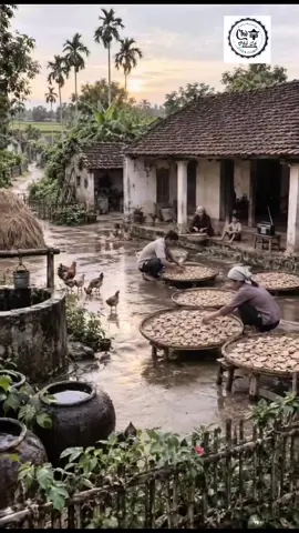 Một Ngày Trở Về Tuổi Thơ #xuhuong #thaibinh #quehuong #thiennhien #canhdep 