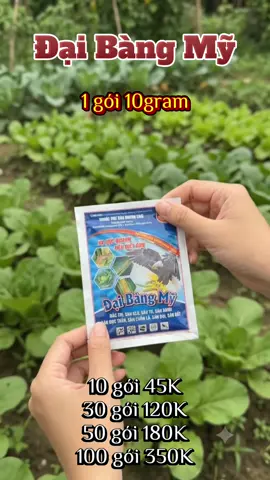 𝐆𝐢𝐨̉ 𝐡𝐚̀𝐧𝐠 𝐜𝐮̉𝐚 𝐞𝐦 𝐨̛̉ 𝐠𝐨́𝐜 𝐭𝐫𝐚́𝐢 𝐦𝐚̀𝐧 𝐡𝐢̀𝐧𝐡 𝐪𝐮𝐲́ 𝐚𝐧𝐡 𝐜𝐡𝐢̣ 𝐛𝐚̂́𝐦 𝐯𝐚̀𝐨 đ𝐞̂̉ 𝐦𝐮𝐚 𝐧𝐡𝐚. 𝐍𝐞̂́𝐮 𝐤𝐡𝐨̂𝐧𝐠 𝐭𝐡𝐚̂́𝐲 𝐠𝐢𝐨̉ 𝐡𝐚̀𝐧𝐠 𝐪𝐮𝐲́ 𝐚𝐧𝐡 𝐜𝐡𝐢̣ 𝐛𝐚̂́𝐦 𝐯𝐚̀𝐨 𝐭𝐫𝐚𝐧𝐠 𝐜𝐚́ 𝐧𝐡𝐚̂𝐧 𝐓𝐢𝐤𝐓𝐨𝐤 𝐜𝐮̉𝐚 𝐞𝐦 đ𝐞̂̉ 𝐞𝐦 𝐧𝐡𝐚.