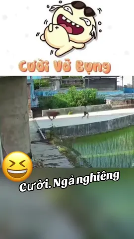 Cười ngả nghiêng cười đến tận cuối cùng #cuoinganghieng #cuoibebung #😆😆😆 