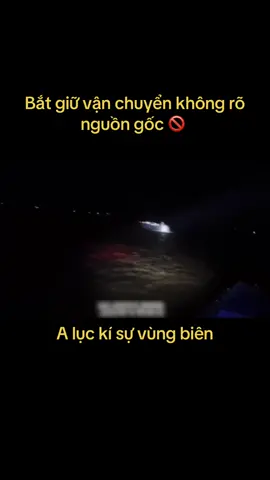 LẠI THÊM CHUYẾN MỚI BỊ TỊCH THU TRÊN BIỂN#alucquangtay #tulenhvungbien #kisuvungbien #xuhuong #biengioiviettrung 