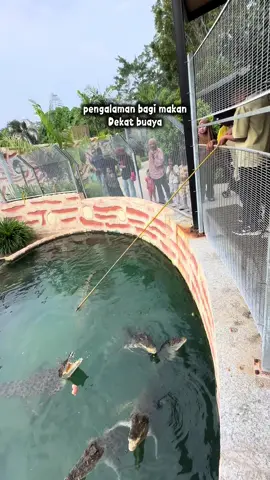 Korang yang nak bercuti ke melaka serius tak rugi masuk dekat a famosa safari wonderland ni #afamosasafariwonderland #melaka 