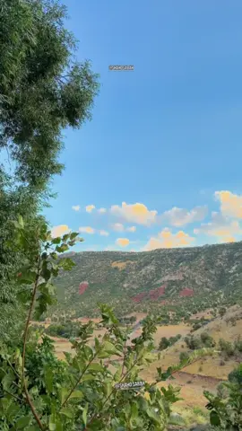 ئەرێ بەخوای 😅🖤…..! . . . #zandshaho #shahosabah #mandshaho #natural #kurdestan 
