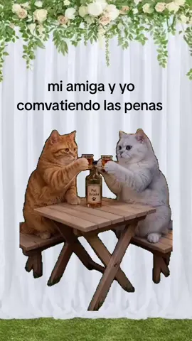 #Meme #MemeCut #CapCut#tiktok#fyppp