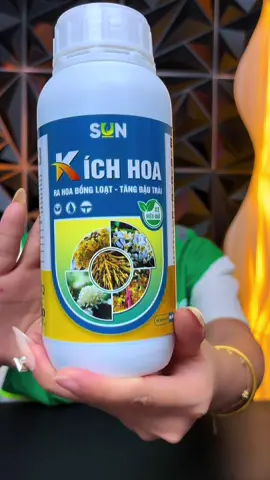Phân bón kích hoa 500ml :Kích thích ra hoa nhiều ra đồng loạt , tăng tỉ lệ đậu trái 