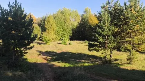 #naturevibes #nature #природа #naturelovers #naturevibe #набережныечелны 