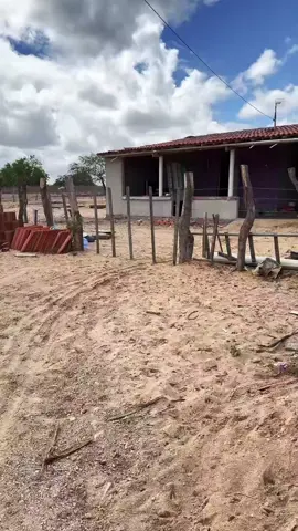 #sertao #viraliza #agro #roça #viral 