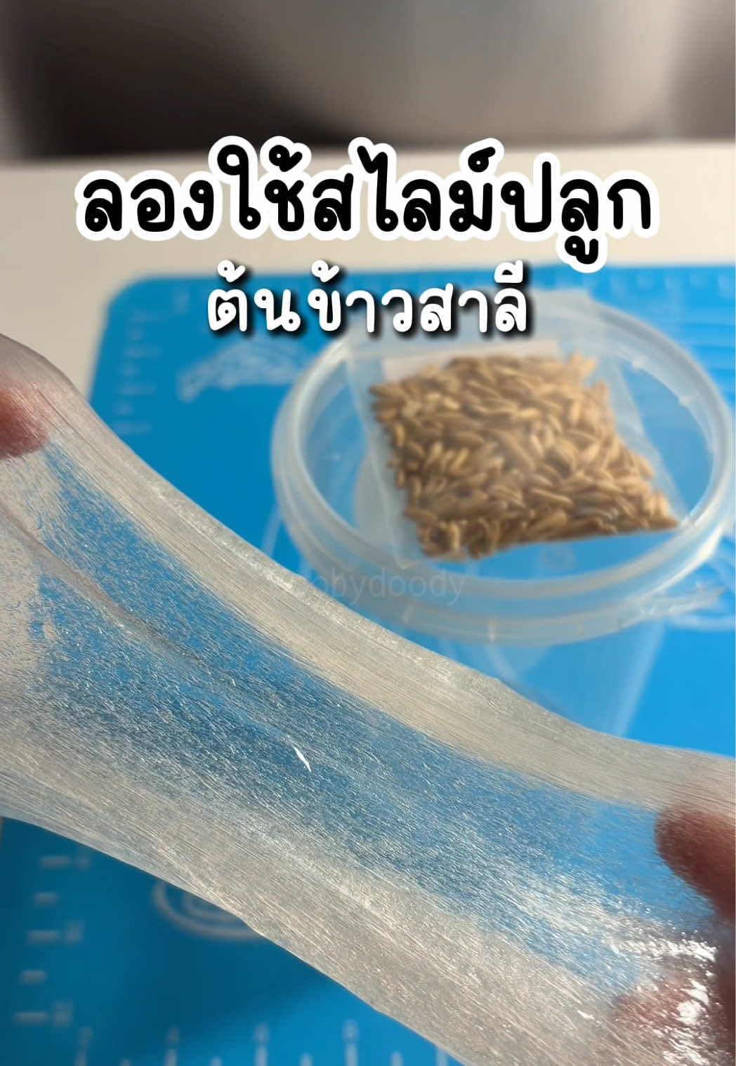 ลองใช้สไลม์ปลูกต้นข้าวสาลี🌱 #ปลูกต้นไม้ #ต้นข้าวสาลี #สไลม์ #slime 