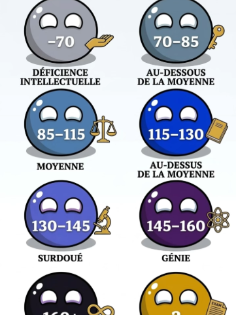 Explication de tous les niveaux d’intelligence : Niveau 2 #lernenmittiktok #bildung #pourtoiii