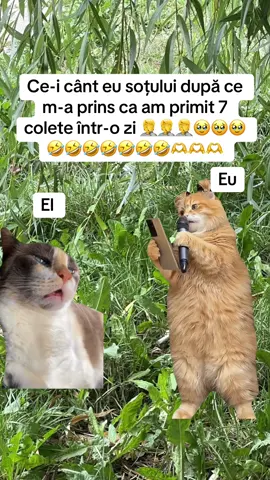 #CapCut #🤣🤣🤣🤣🤣🤣🤣🤣🤣 #pamflet_tik_tok #viralvideo 