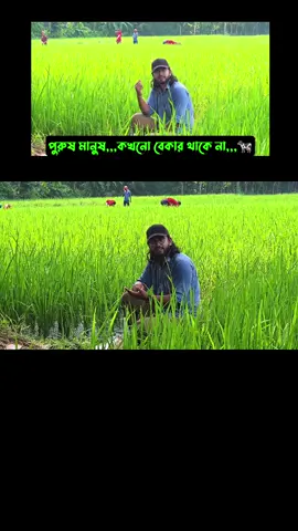 আসসালামু আলাইকুম   01969914777 (Call) 01901884490 (WhatsApp) 01339840963 (WhatsApp) প্রোডাক্ট এর তালিকা,,,🛍️ দেশি ঘি,,,🍯 দেশি রাই সরিষার তেল,,🌱 দেশি গমের লাল আটা,,,🫓 লক্ষী দিঘা ধানের লাল চাল,,,🌾 মিক্সড মাংসের মসলা (২৫ রকম মসলা দিয়ে তৈরি),,🍗 দেশি মসুরের ডাল,,,🌿 লিচু ফুলের মধু,,,🍯 কালোজিরা ফুলের মধু,,,🍯 মরিচের গুঁড়ো,,,🌶️ হলুদের গুঁড়ো,,,🥐 দেশি ধনিয়ার গুড়া,,,☘️ দেশি কালোজিরা,,,🍙 চালের গুড়া,,,🌾 খোসাসহ মুসুরি,,,🫘 দেশি সরিষা,,,🎋 অবশ্যই ১০০% পিউর পেয়ে যাবেন,,ইনশাআল্লাহ উপরের নম্বর ৩ টি আমাদের অফিসিয়াল নাম্বার,,সরাসরি এখানে কল করুন অথবা  Whatsapp এ মেসেজ করুন করুন,,শুধুমাত্র - সকাল ১০ টা থেকে রাত ১১ টা পর্যন্ত আরো বিস্তারিত জানতে ভিজিট করতে পারেন আমাদের ওয়েবসাইট 👇 https://www.bismillahagro.shop/