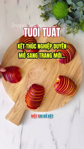 Tuổi Tuất Kết Thúc Nghiệp Duyên Mở Sang Trang Mới #tuvicongiap #tuoituat