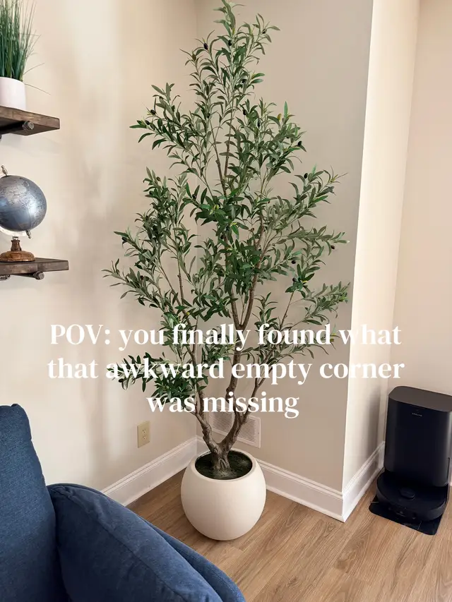 You ever decorate a whole room and it still feels like something is missing?? 😭 Turns out sometimes you just need a little height and greenery in an empty corner. This olive tree made the space feel so much more finished… and I don’t have to keep it alive, which is probably for the best 😂🌿 #HomeDecor #OliveTree #HomeFinds 