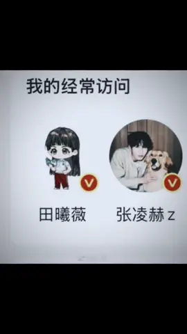 đẳng cấp vẫn là đẳng cấp #Tianxiwie #Zhanglinghe #dientacchihach #xuhuongtiktokxuhuong #xuhuongtiktokxuhuong 