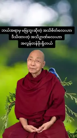 #ဘယ်အရာမှမမြဲဘူးဆိုတဲ့ဒီသိထားတဲ့အသိဥာဏ်လေးဟာအလွန်တန်ဖိုးရှိတယ်#ပါချုပ်ဆရာတော်ဘုရာကြီး🙏🙏🙏 #ပါချုပ်ဆရာတော်ဘုရားကြီး၏အဆုံးအမ #ဘုရားတရားသံဃာ #yawthar5984 