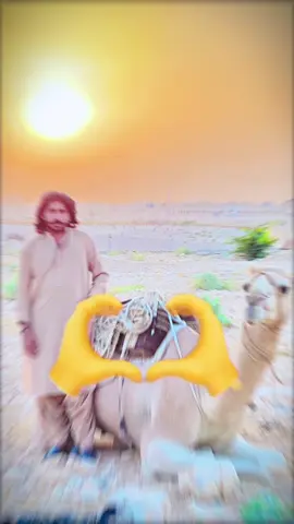 ma dil #pageforyou #foryou #pk #lalanosani #tiktokviral @✍🏻علی بلوچ 💸 