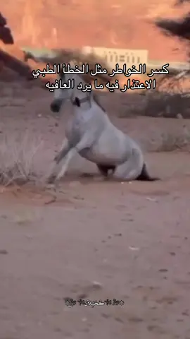 كسر الخواطر مثل الخطأ الطبي الاعتذار فيه ما يرد العافيه#خيل_وخياله🐎 #fyp #vairal #اكسبلورexplore #اقتباسات 
