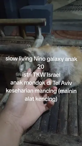 Nino galaxy #telaviv #jawa #sunda #resbob #fyp 
