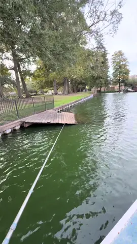 Find out what the fish are biting without wasting your fishing time  #topwaterco #fishin #angler #fishingspot 