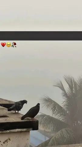 Post 16 | 𝐁𝐀𝐁𝐀 𝐉𝐀𝐍𝐀𝐌 ♡︎ .  .  .  .  .  .  .  .  .  .  .  .  .  .  .  .  .  .  .  .  .  .  .  .  .  .  .  .  .  .  .  .  #pleasetiktokviralmyvideo🙏 #pleasetiktokviralmy #fo  .  .  .  .  .  .  .  .  .  .  .  .  #unfreezemyacount #beyan   .  . . . . . . . . .  Program .  .  .  .  .  .  .  .  .  .  .  .  .  .  .  .  .  .  .  .  Request to Tiktok Community Please don't remove this content د + Ten Unknown Facts About  .Ten Unknown Facts About  Unknown Facts About 213.9K ... 6,229 1. Founding and History: BMW, Bayerische Motoren Werke AG, was founded in 1916 in Munich, Germany, initially producing aircraft engines. The company transitioned advanced driving assistance systems (ADAS) and hybrid powertrains. . .  .  .  .  .  .  .  .  .  .  .  4. Performance and Motorsport Heritage: BMW has a strong heritage in motorsport, particularly in touring car and Formula 1 racing. The brand's M division produces high-performance variants of their regular models, known for their precision engineering and exhilarating driving dynamics. 213.9K ... 5. Global Presence: BMW is a global automotive Company 6,229 16K 6. Luxury and Design: BMW is synonymous with luxury anddistinctive design, crafting vehicles that blend elegance with cutting-edge technology and comfort. .  .  .  .  .  .  .  .  .  .  7. Sustainable Practices: BMW has committed to sustainability, incorporating eco-friendly materials and manufacturing processes into its vehicles, as well as advancing electric vehicle technology with models like the BMW i4 and iX. 213.9K ... 6,229 8. Global Manufacturing: BMW operates numerous production facilities worldwide, including in Germany, the United States, China, and other countries, ensuring a global reach and localized 16K 8,981and other countries, ensuring a global reach and localized production. .  .  .  .  .  .  .  .  .  .  9. Brand Portfolio: In addition to its renowned BMW brand, the company also owns MINI and Rolls-Royce, catering 213.9K ... Important Note: We respectfully request the Facebook community to refrain from removing or restricting this video, as it solely aims to promote love, peace, spirituality, and education. Our content adheres to Facebook's community standards and guidelines, focusing on uplifting and informative messaging.