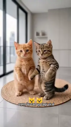kucing joget lucu tari rentak kudo#kucingjoget #kucinglucu#kucinggemoy