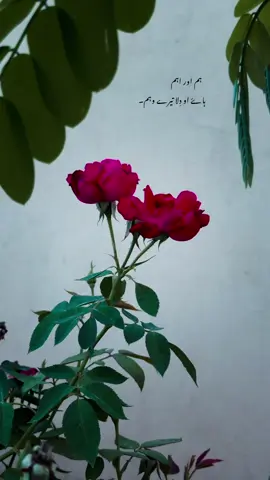 ہم اور اہم ہاۓ او دِلا تیرے وہم🥺❤️‍🩹#fyp #1millionaudition #viralvideo #foryou 