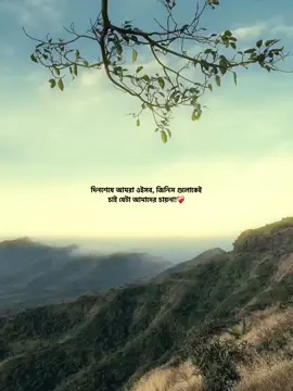 দিনশেষে আমরা ওইসব জিনিস, গুলোকেই চাই যেটা আমাদের চায়না!❤️‍🩹#fypシ #bdtiktokofficial #foryou #trending #md_a_r_i_f_0 