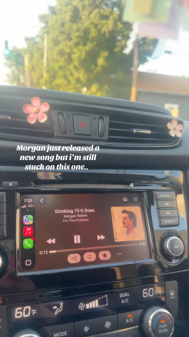 #fyp #morganwallen #music #artistoftiktok 