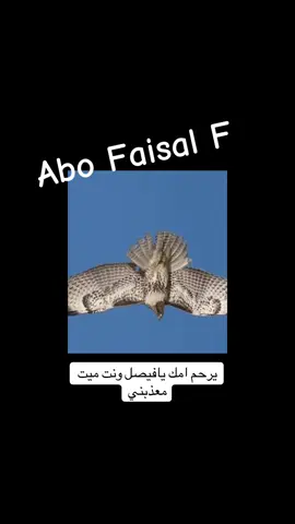 نهب نهب