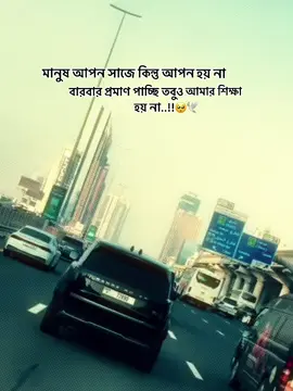 মানুষ আপন সাজে কিন্তু আপন হয় না বারবার প্রমাণ পাচ্ছি তবুও আমার শিক্ষা হয় না..!!🥺🕊️ #foryou #foryoupage  #caption #barilvideo  @TikTok @#foryou  @TikTok Bangladesh 