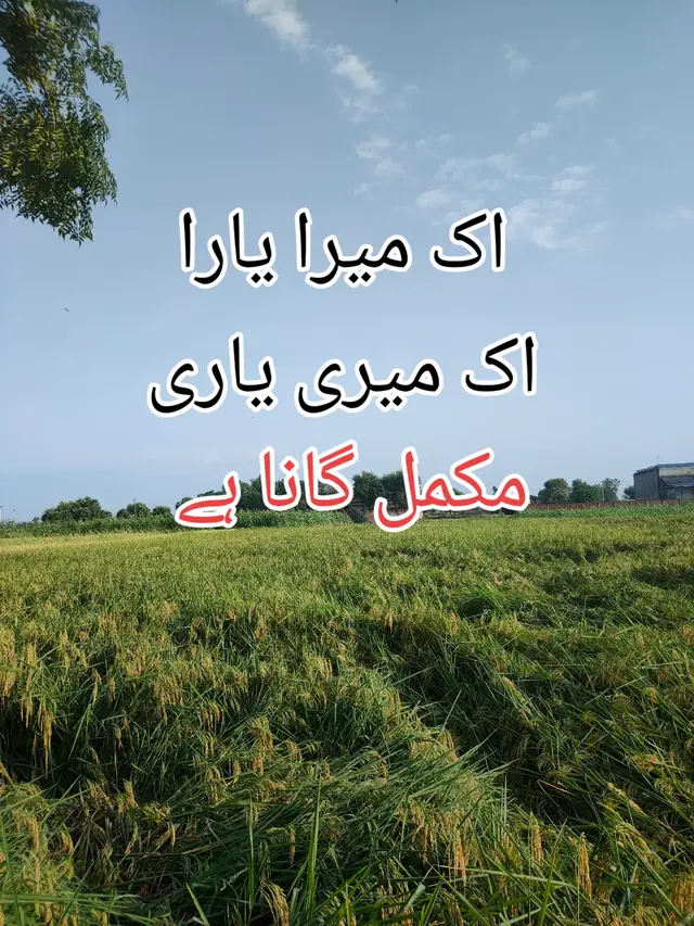 #viralsong #karachi #lahore #fullsong #fulltrending 