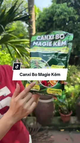 Canxi Bo Kẽm Magie xanh lá đậu quả phục hồi cây #canxibokem #canxibokemmagie #phuchoila #duongbongdau #phabonla 