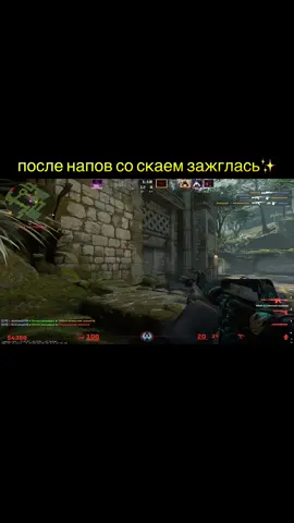 скай хочу стать твоей модераторшой день 2. #skywhywalker #модер #cs2 #faceit 