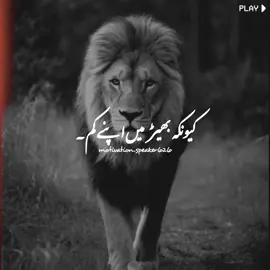 TikTok Team Please Don’t Under Review My Video #fyp #foryou #viral  #motivation_speaker626 #haddi_trick  