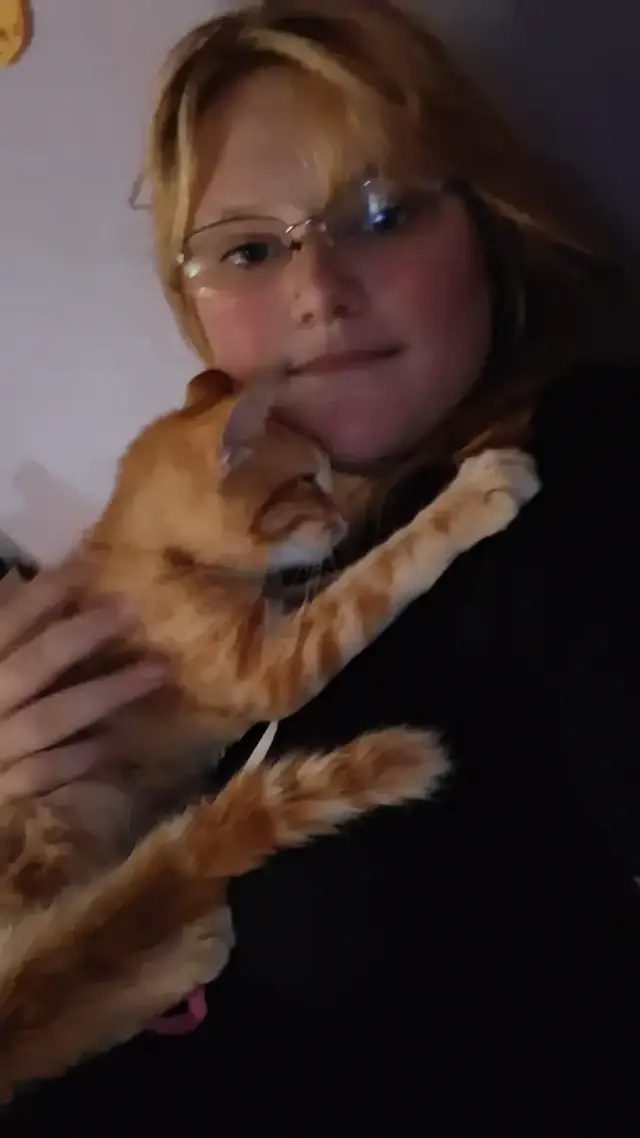 This is Asher my new cat. It's been 2 months since I lost puss and it's been hard but I have a new friend to help me.