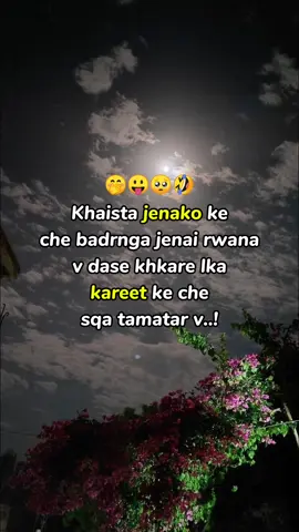 Mention ky pke khpla malgri 🤭 #ibadkhan05 #fyp #foryou #foryourpage #trending 