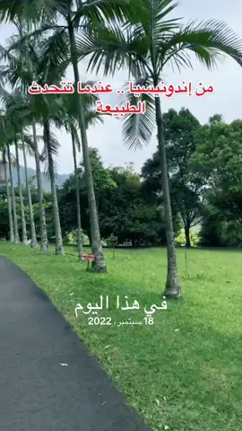 اندونيسيا عندما تتحدث الطبيعة #في هذا اليوم #سياحة #اندونيسيا #بونشاك #explore 
