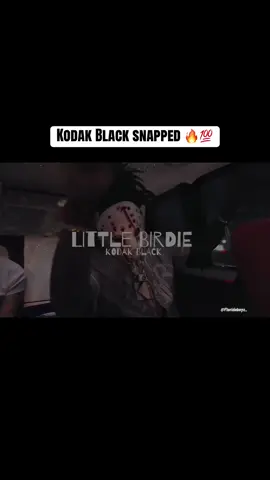 This that Yak y’all wanted? 🔥💯 #kodakblack #floridaboyz #lyrics #fyp #kodakblacksounds 
