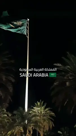 أجواء واحتفالات اليوم الوطني السعودي 🇸🇦🤍 كل عام والسعودية بخير وأمان وازدهار. #93saudinationalday #اليوم_الوطني #السعودية #الرياض #احتفالات_السعودية