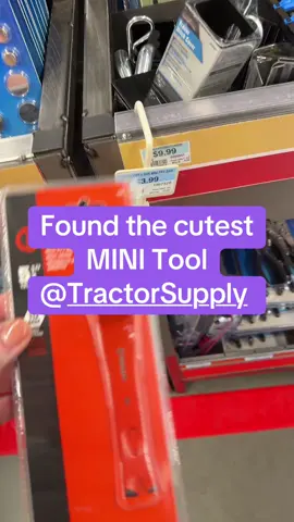 #minitools #minithings #minitoolbox #tractorsupply #minitool @TractorSupply @Crescent Tools 