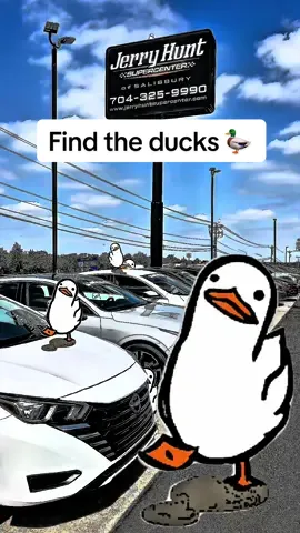 You guys said it was getting too easy…so naturally, we added more ducks to the lot. How many can you find now? 🦆 