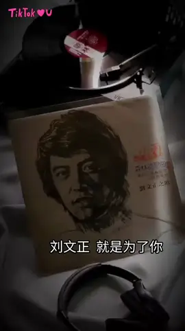 刘文正  就是为了你