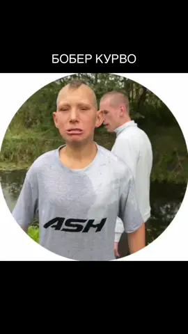 бобер #гамос #вамос #бобр #инкмейт #калатай 