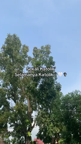 seindah ini ya goa maria katolik ✨😇 #katolikindonesia #katolikku_keren #fypkatolik✨