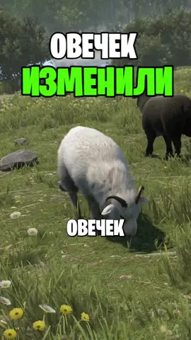 Как изменились овечки в #rust #раст 