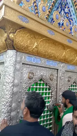 المخيم