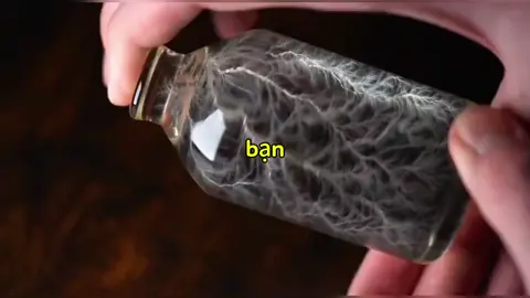 Hình Lichtenberg là gì mà trông giống tia sét đến vậy #khamphathegioi #kienthucthuvi #fyp #viral 