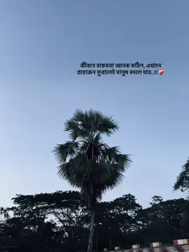 ❤️‍🩹#fyppppppppppppppppppppppp #unfrezzmyaccount #bdtiktokofficial #fyp #captions 